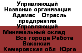 Управляющий › Название организации ­ Адамас › Отрасль предприятия ­ Управляющий › Минимальный оклад ­ 40 000 - Все города Работа » Вакансии   . Кемеровская обл.,Юрга г.